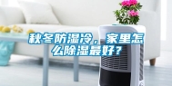 秋冬防湿冷，家里怎么除湿最好？
