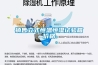 销售立式恒温恒湿试验箱价格