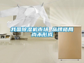 知识百科我国除湿机市场 品牌格局尚未形成