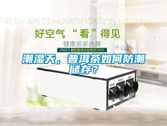 常见问题潮湿天，普洱茶如何防潮储存？