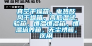 真空干燥箱，电热鼓风干燥箱，高低温试验箱，恒温恒湿箱，恒温培养箱，无尘烘箱，医用