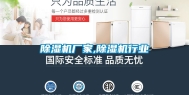 除湿机厂家,除湿机行业