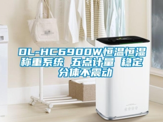 常见问题DL-HC6900W恒温恒湿称重系统 五点计量 稳定 分体不震动