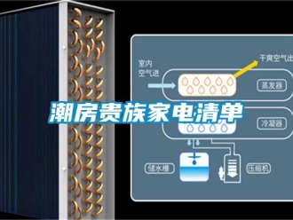 企业新闻潮房贵族家电清单