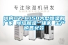 河南DY-CJ50大型恒湿机厂家 除湿加湿一体机 生产销售安装