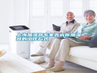 知识百科上海加湿器专家告诉你加湿器的工作方式