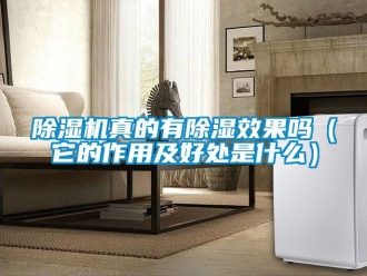 行业新闻除湿机真的有除湿效果吗（它的作用及好处是什么）