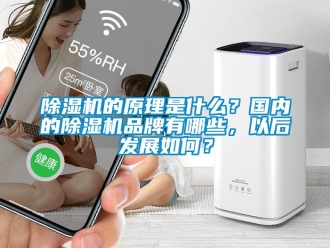 企业新闻除湿机的原理是什么？国内的除湿机品牌有哪些，以后发展如何？