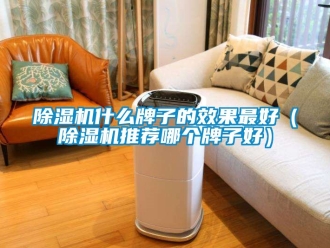 行业新闻除湿机什么牌子的效果最好（除湿机推荐哪个牌子好）