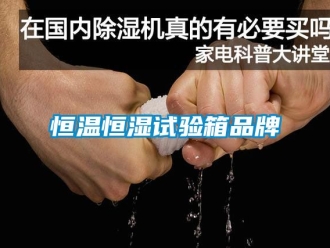 知识百科恒温恒湿试验箱品牌