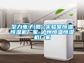 知识百科至力电子(图)-实验室恒温恒湿机厂家-泸州恒温恒湿机厂家