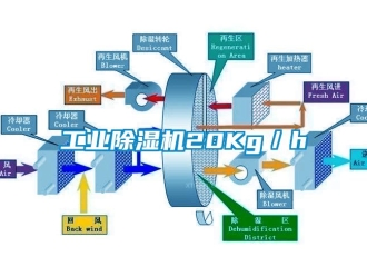 企业新闻工业除湿机20Kg／h