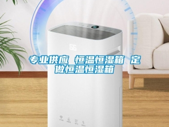 知识百科专业供应 恒温恒湿箱 定做恒温恒湿箱