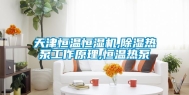 天津恒温恒湿机,除湿热泵工作原理,恒温热泵