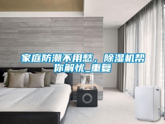 行业新闻家庭防潮不用愁，除湿机帮你解忧_重复