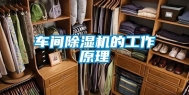 车间除湿机的工作原理