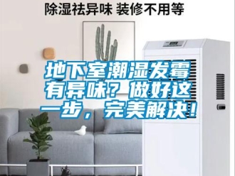 企业新闻地下室潮湿发霉有异味？做好这一步，完美解决！