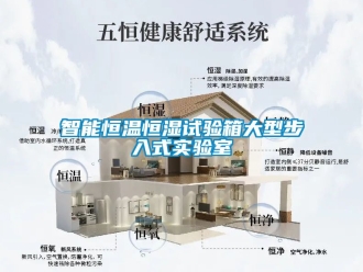 知识百科智能恒温恒湿试验箱大型步入式实验室