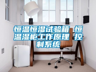 知识百科恒温恒湿试验箱 恒温湿柜工作原理 控制系统