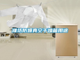 企业新闻潍坊防爆真空干燥箱用途