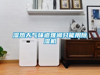 知识百科湿热天气味道难闻只能用除湿机