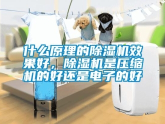 行业新闻什么原理的除湿机效果好，除湿机是压缩机的好还是电子的好