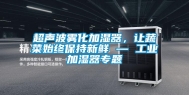 超声波雾化加湿器，让蔬菜始终保持新鲜 — 工业加湿器专题