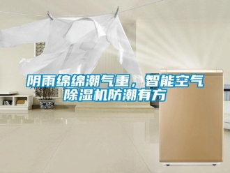 知识百科阴雨绵绵潮气重，智能空气除湿机防潮有方