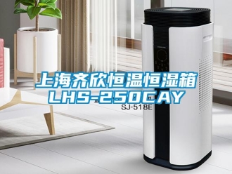 知识百科上海齐欣恒温恒湿箱LHS-250CAY