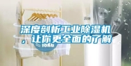深度剖析工业除湿机，让你更全面的了解