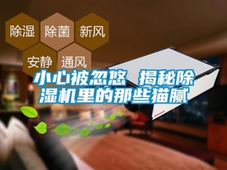知识百科小心被忽悠 揭秘除湿机里的那些猫腻