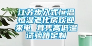 江苏步入式恒温恒湿老化房欢迎来电 茸隽高低温试验箱定制