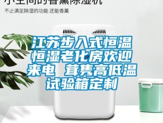 知识百科江苏步入式恒温恒湿老化房欢迎来电 茸隽高低温试验箱定制