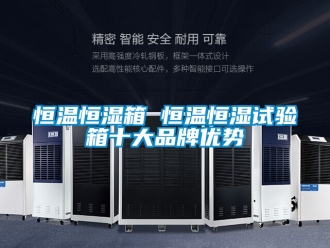 知识百科恒温恒湿箱 恒温恒湿试验箱十大品牌优势