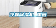 胶囊除湿机_重复