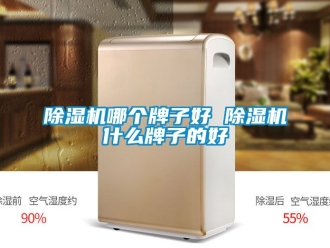 行业新闻除湿机哪个牌子好 除湿机什么牌子的好