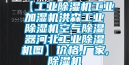 【工业除湿机工业加湿机洪森工业除湿机空气除湿器河北工业除湿机图】价格,厂家,除湿机