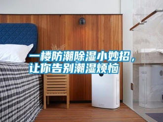 知识百科一楼防潮除湿小妙招，让你告别潮湿烦恼
