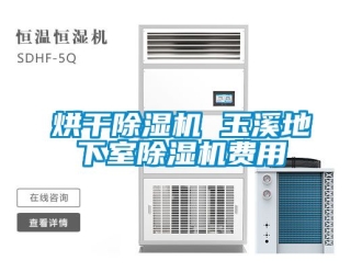 行业新闻烘干除湿机 玉溪地下室除湿机费用