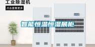 智能恒温恒湿展柜