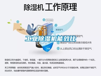 企业新闻工业除湿机能效比