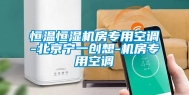 恒温恒湿机房专用空调-北京宁一创想-机房专用空调