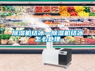 行业新闻除湿机结冰—除湿机结冰怎么处理