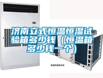 知识百科济南立式恒温恒湿试验箱多少钱（恒温箱多少钱一个）