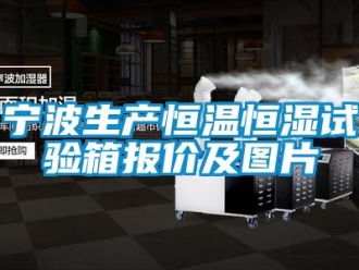 知识百科宁波生产恒温恒湿试验箱报价及图片