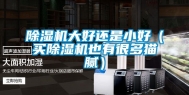 除湿机大好还是小好（买除湿机也有很多猫腻）