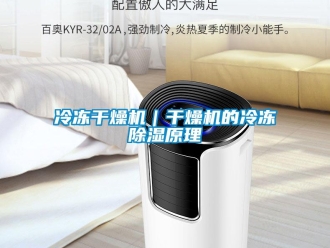 行业新闻冷冻干燥机｜干燥机的冷冻除湿原理