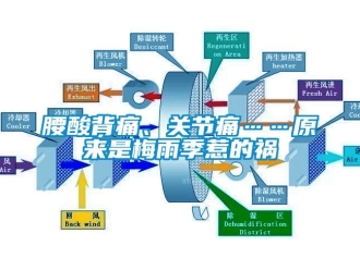 知识百科腰酸背痛、关节痛……原来是梅雨季惹的祸