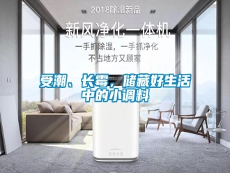 知识百科受潮、长霉，储藏好生活中的小调料
