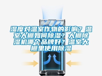 企业新闻湿度对温室作物的影响？温室大棚如何除湿？大棚除湿机哪个品牌好？温室大棚里使用除湿